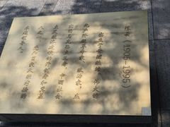 -练塘古镇