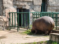 -哈尔滨北方森林动物园