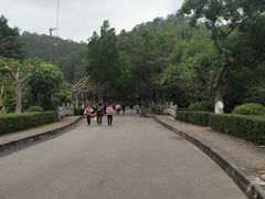 -滴水岩森林公园