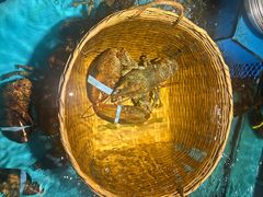 -拉完海鲜大排档(温岭店)