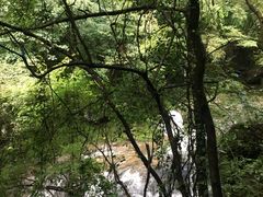 -溪口-滕头旅游景区