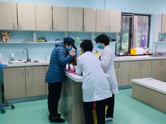 -北京观赏动物医院·24小时大型综合·猫专科·异宠专科