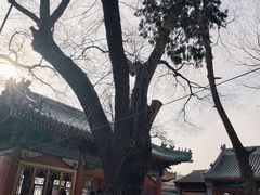 -贤良祠