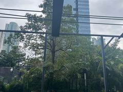 -深圳温德姆至尊酒店