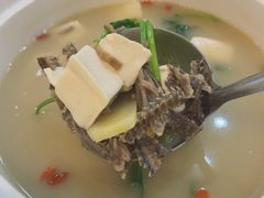 鳝骨豆腐汤-台山美食一绝阿四台山黄鳝饭(阿四创作店)