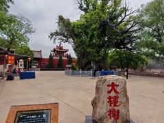 -大槐树寻根祭祖园