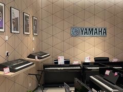 -知音艺术教育培训·钢琴培训·音乐培训(河西金鹰世界校区)