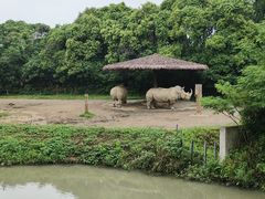 -宁波野生动物园