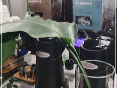 -野鸽子咖啡(中航店)