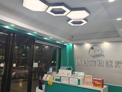 -博特宠物医院24h犬猫全科.骨科·异宠