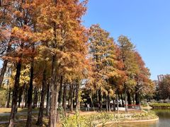 -四海公园(南山区)
