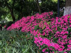 -常州古运河南大街文化旅游区-人民公园