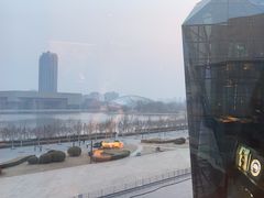 -羲和雅苑•北京烤鸭(乐园道万象城店)