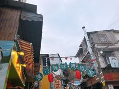 -猫咪博物馆(顶澳仔猫街店)