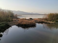 -西昌邛海湿地