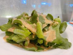 沙律冰菜-阿一鲍鱼·20年匠心传承(天河北旗舰店)