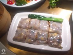 -南枝记