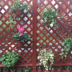 -新蝶变皮肤管理中心