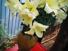 -新竹里馆·花园餐厅(兴苑路店)