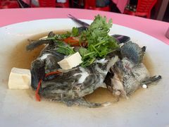 潮州蒸鱼-旗鱼海番村(Orang Asli)