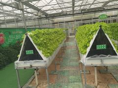 -兰陵国家农业公园