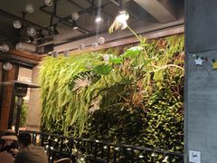 -HOME餐厅粤菜 融合菜