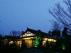 -秀丽东方