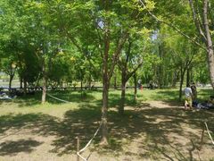 -东郊湿地公园