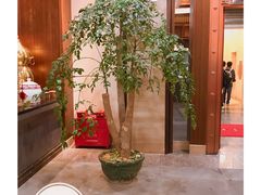 -大佛寺高级素食自助餐厅