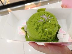 -狐狸和向日葵(北京路店)