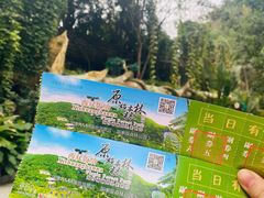 -西双版纳原始森林公园