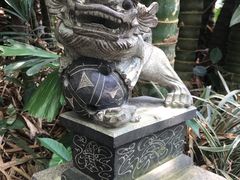 -呀诺达热带雨林