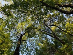 -上海市龙华烈士陵园