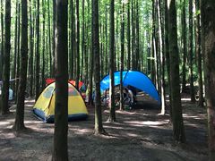 -山王坪喀斯特国家生态公园