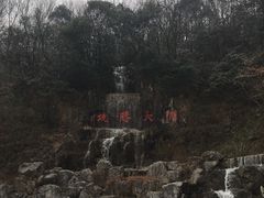 -鑫福楼农家菜
