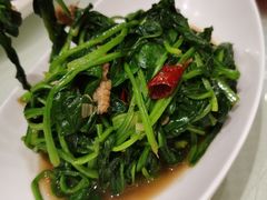 -双井轩(双井店)