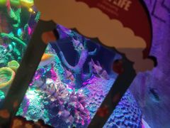 -沈阳海洋探索中心