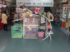 -瑞派宠物医院·24小时骨科·心脏·核磁(哈尔滨南岗店)