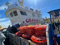 -中国舟山国际水产城