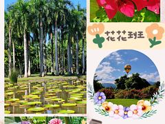 -中国科学院西双版纳热带植物园