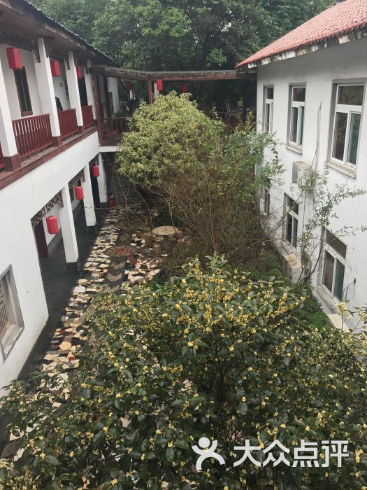 环境图片-合肥美食-大众点评网