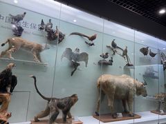 -国家自然博物馆