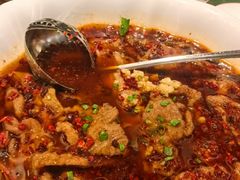 -秀儿四九城·新京菜(亚运村鸟巢店)