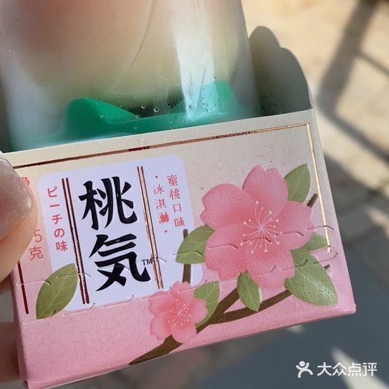 冰川来客雪糕冰糕批发零售