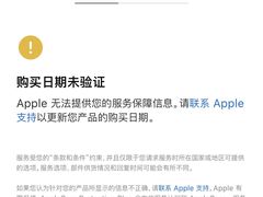 -Apple零售店(青岛万象城店)