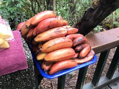 -金盆阿嬷香菇茶叶蛋(玄光店)