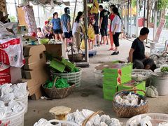 -马陆小张葡萄园农家乐