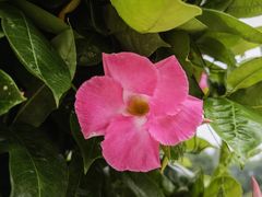-秦皇岛野生动物园