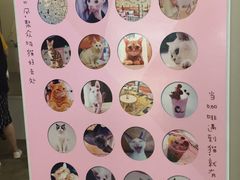 -喵匠猫主题咖啡(凯德和平广场店)