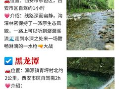 -朱雀国家森林公园